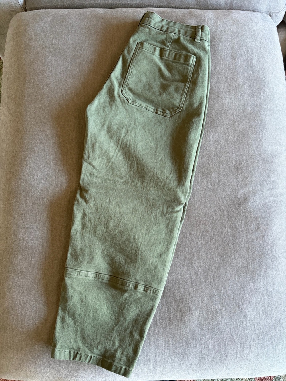 Everlane Utility Barrel Pant